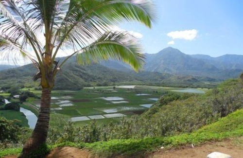 Lihue Condo | Kaha Lani #216, 2Bdrm, 2bath, See VIDEO! beachfront resort! Ocean views. Quiet!