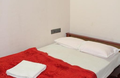 Mysore House | Kamadhenu Homestay Near Mysore Zoo