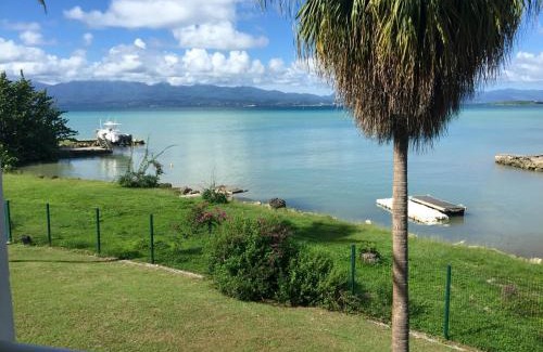Pointe de la verdure Apartment | Karaibes Residence