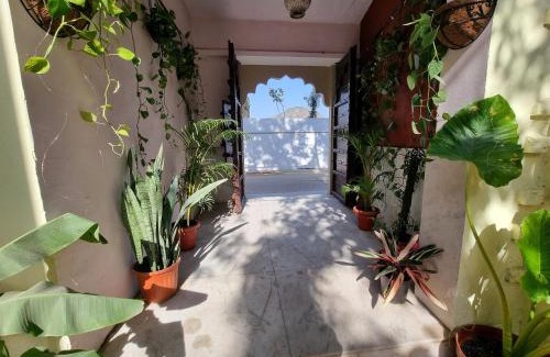 Pushkar Hotel | Karavan Kafē