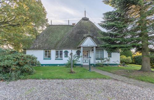 Schleswig-Holstein Apartment | Kastanienhof Hagebutte