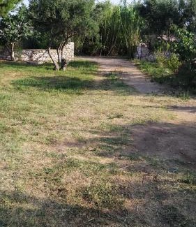 Logaras House | Katerina
