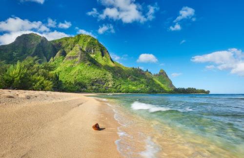 Anahola Other | Kauai Rooftop Camper SUV Sleep Under the Stars