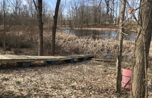 Marcellus RV Rental | Kayak and Campers Paradise