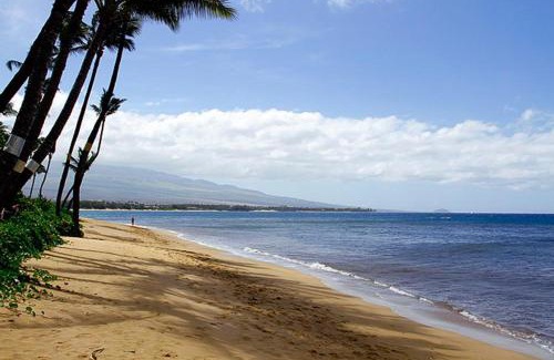 Kihei Apartment | Kealia Resort 203
