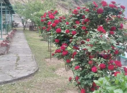 Narainkoti Other | Kedar Heights Heli Resorts by StayApart