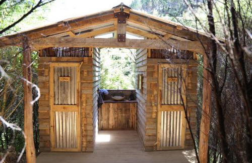 Waihi Other | Kereru site