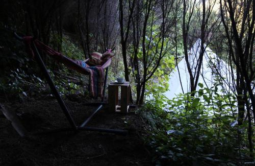 Waihi Other | Kereru site