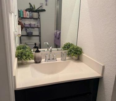 Homestead House | Keys & Everglades Hideaway Shared Space