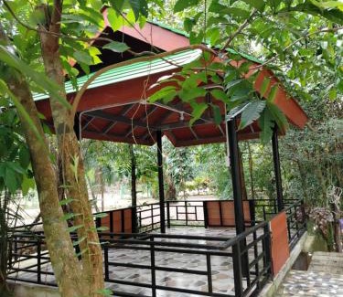 Khlong Sok Hotel | Khao Sok Saengtawan Resort And Camp
