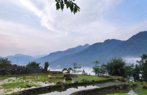 Sa Pa Cabin | Khen Mong Nature Hotel