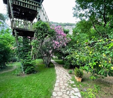 Cirali Resort | Kibala Hotel