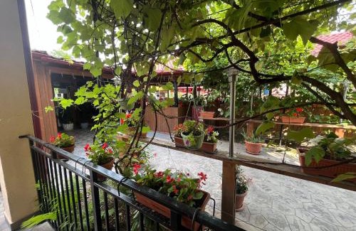 Leordina House | Kilometru108