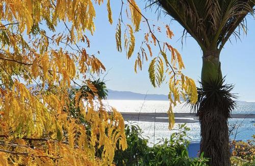 Stepneyville Apartment | Kimberley Two - Nelson Waterfront Apartment