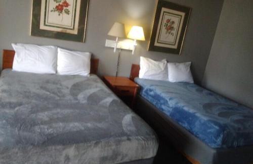 Livingston Apartment | King Bed Hotel Studio 215