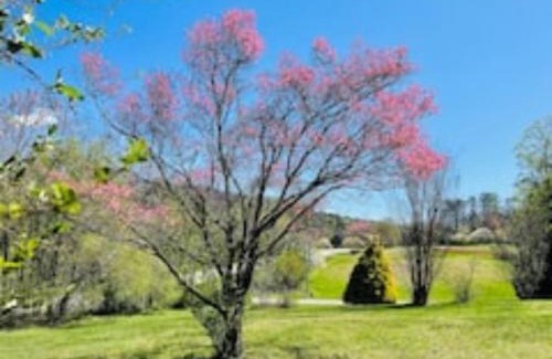 Blairsville House | King Bed Romantic Cabin with Fireplace