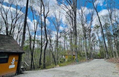 Blairsville House | King Bed Romantic Cabin with Fireplace