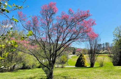 Blairsville House | King Bed Romantic Cabin with Fireplace