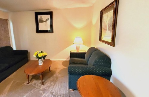 Holiday Island Condo | King Beds, Fireplace, Jacuzzi!