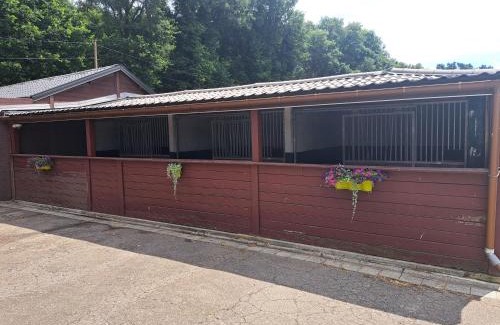 Zutendaal Apartment | King of Gold Stables appartement met stalling voor 5 paarden