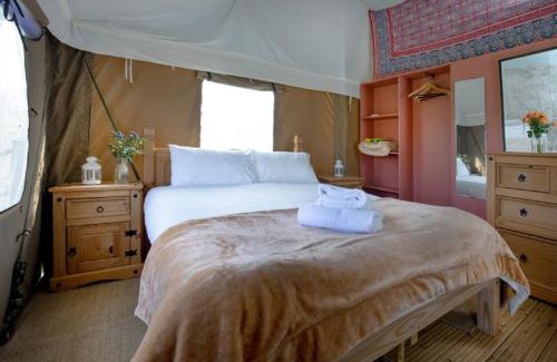 Saint Blazey House | Kingfisher - Kittisford Barton