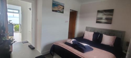 Pettycur Apartment | KINGHORN - Private Room, own entrance, ensuite, sunroom & Views