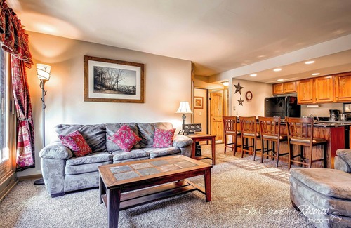Peak 9 Condo | Kitchen Upgrades! Cozy Condo in Picturesque Breck, Steps from downtown TE217