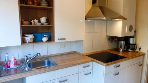 Nord-Mitte Apartment | Kleines Studio Albatros