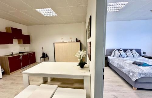 Spielberg Apartment | Kobra Room in Spielberg