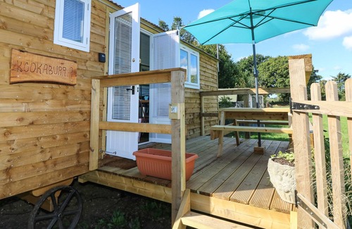 New Forest District Cottage | KOOKABURRA, romantic, character holiday cottage in Ringwood
