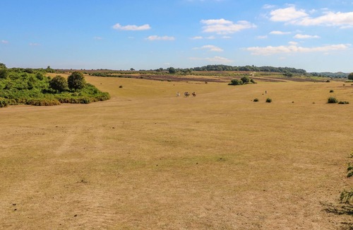 New Forest District Cottage | KOOKABURRA, romantic, character holiday cottage in Ringwood