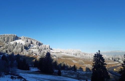 Altglashutten Apartment | Kopf Frei auf 1000 Meter