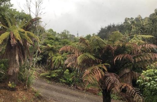 Raurimu House | Kowhai Lodge