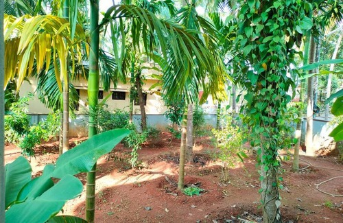 Udupi Apartment | Krishna Kunja