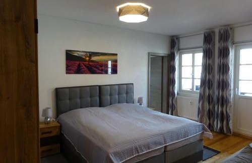 Weyhers Apartment | Krugs Haus Ferienwohnungen Wasserkuppe