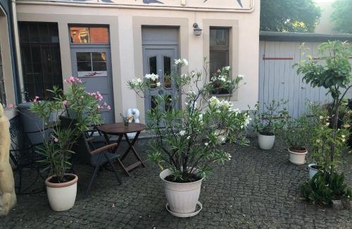 Mickten Apartment | Kunstoase am blauen Haus