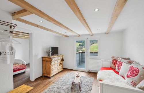 Wildhaus Apartment | Kuschelige Ferienwohnung direkt an der Skipiste SGT08