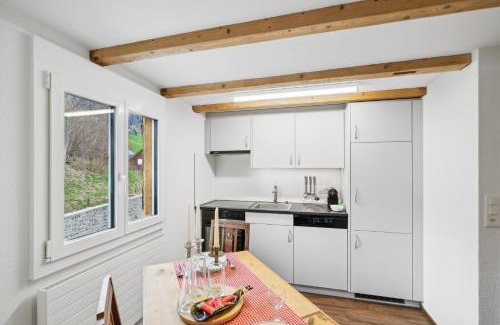 Wildhaus Apartment | Kuschelige Ferienwohnung direkt an der Skipiste SGT08