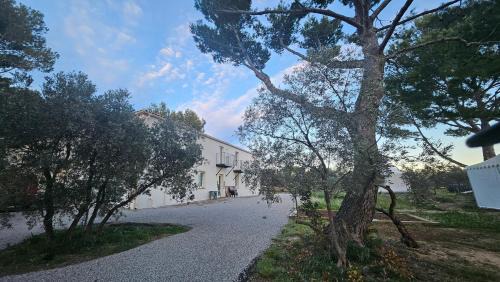 Pelissanne Apartment | L' Aglandau Au coeur des oliviers en Provence