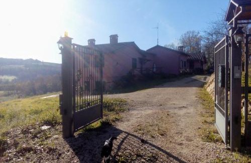 Penna in Teverina House | L'Albero degli Struzzi