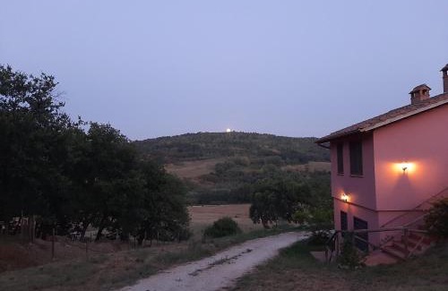 Penna in Teverina House | L'Albero degli Struzzi