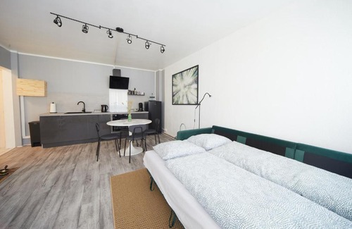 Mulhouse Apartment | L'Alsacien Zen
