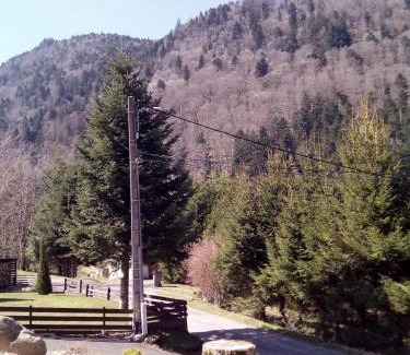 Mittlach Ski Chalet | L Annexe