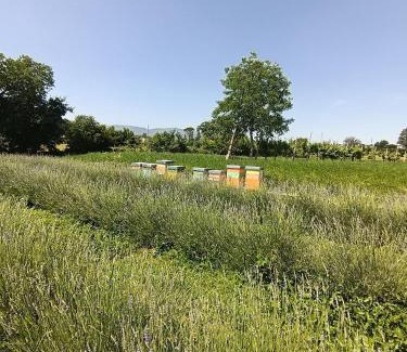 Montefalco House | L'Antico Fienile