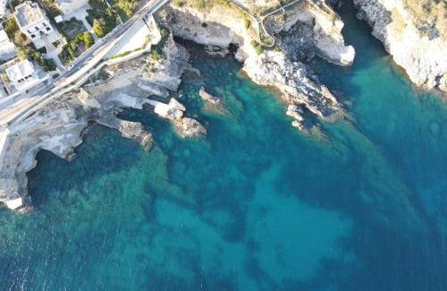 Santa Cesarea Terme House | L'Antico Ulivo