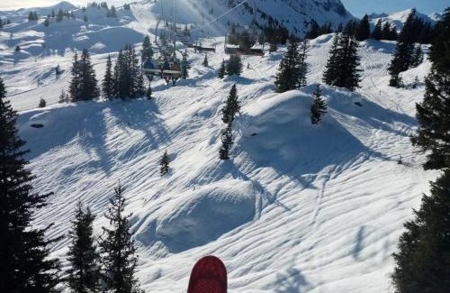 Beaufort Apartment | L'appartement LES BOSSONS en lisière de forêt dans le chalet Génépi