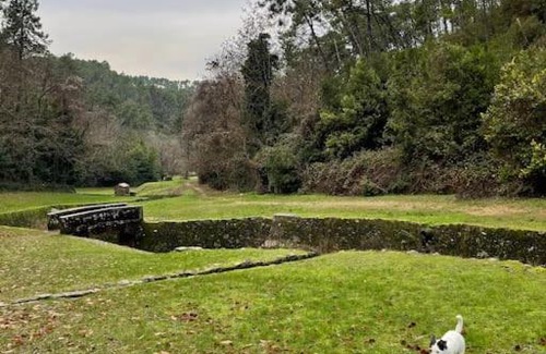 Cascine-La Croce Villa | L’Artemisia - Villa con camino sul ruscello