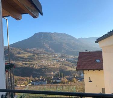 Martignano Apartment | L edera Gigante