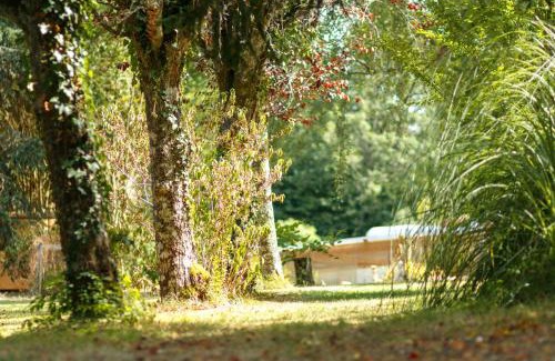 Eyliac House | L'Envol