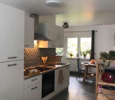 Belhez Apartment | L'Escapade Urbaine - Montignies-sur-Sambre